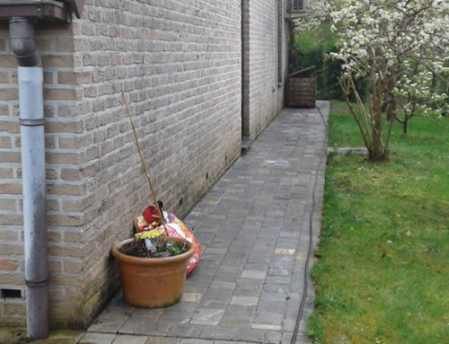 Ripen off garden path in Jezus-Eik