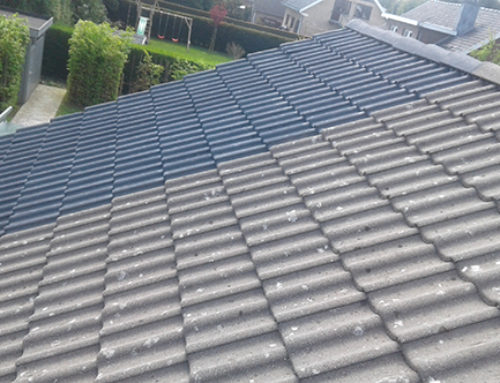 Reinigen en kleuren van een pannendak te Overijse